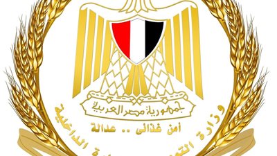 «التموين» تفتح باب توريد القمح 2026 غدًا.. وتحدد 2500 جنيه للأردب