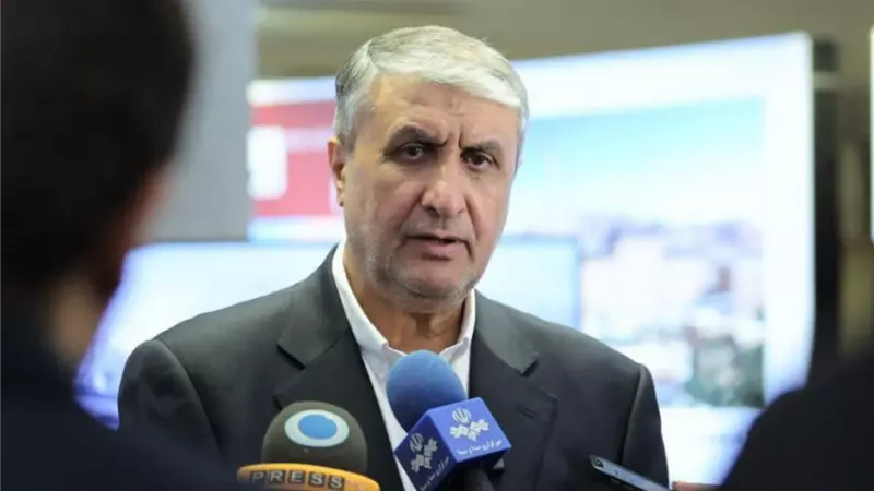 رئيس منظمة الطاقة