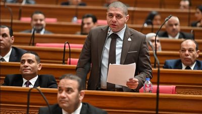 برلماني: الحوافز الحكومية لتوطين صناعة السيارات خطوة استراتيجية لدعم الاقتصاد 