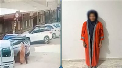  الداخلية تكشف ملابسات فيديو تكسير سيارة بالبحر الأحمر.. وضبط المتهمة