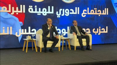 رئيس برلمانية حماة الوطن يطالب المالية بتخفيف الأعباء ودعم الأكثر احتياجا