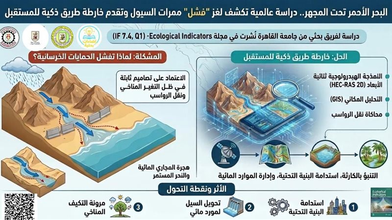 انفوجراف