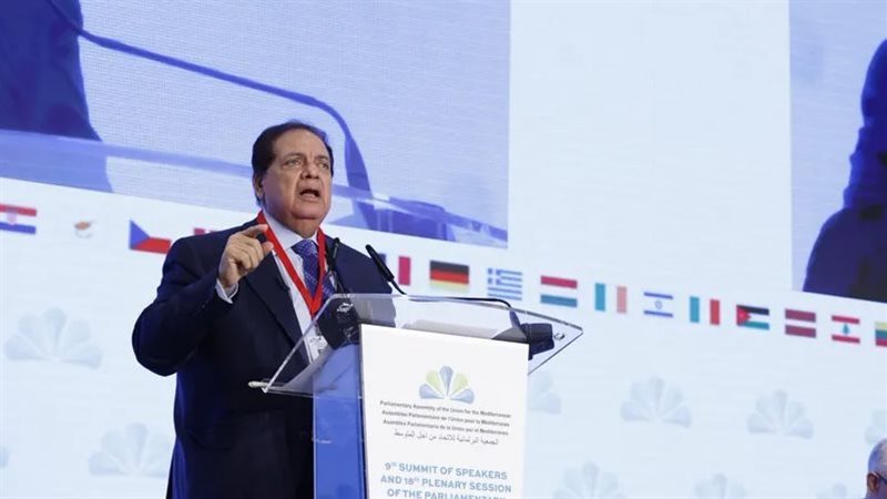 النائب محمد أبو العينين