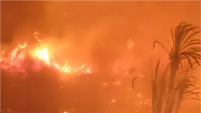 محاولات مكثفة للسيطرة على حريق هائل في مخلفات وأشجار فى منطقة المنيب
