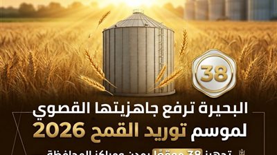 تجهيز 38 موقعا بمدن ومراكز البحيرة لاستقبال موسم توريد القمح.. وبدء الاستلام 15 أبريل