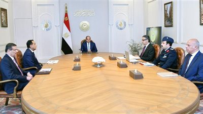الرئيس السيسي يوجّه بتعزيز الأمن الغذائي.. مخزون آمن وخطوات حاسمة لضبط الأسعار