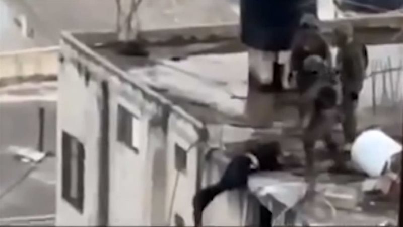 صورة من الفيديو 