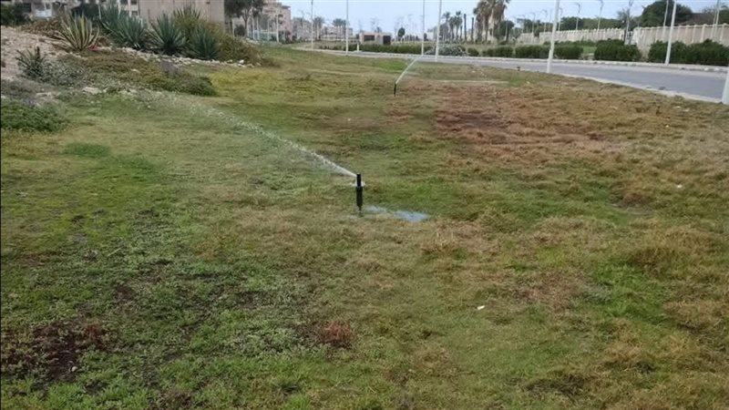 جانب من جهود الأحياء