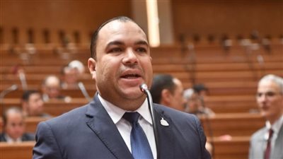 برلماني: زيادة الدعم بالموازنة تعكس حرص الدولة على حماية الأكثر احتياجًا 