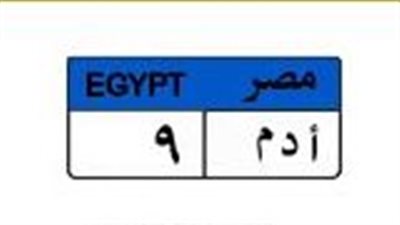 منافسة بين شخصين على لوحة «أدم 9».. والسعر يصل لـ525 ألف جنيه
