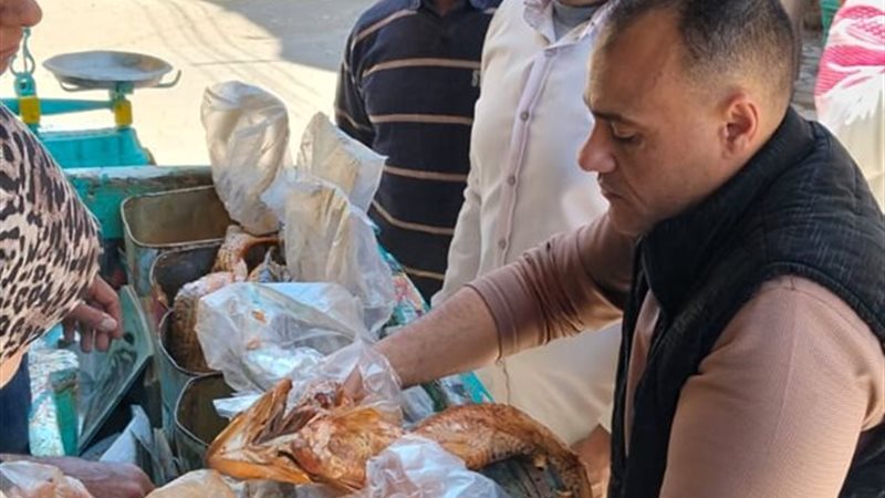صورة من الحملة
