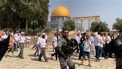 الأردن يدين اقتحامات المسجد الأقصى ومحاولة إدخال قرابين