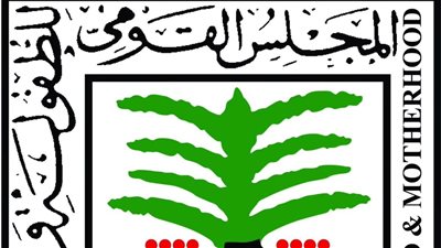 سيدة الاسكندرية.. القومي للطفولة والأمومة يتوجه بتقديم كافة سبل الدعم للطفلين
