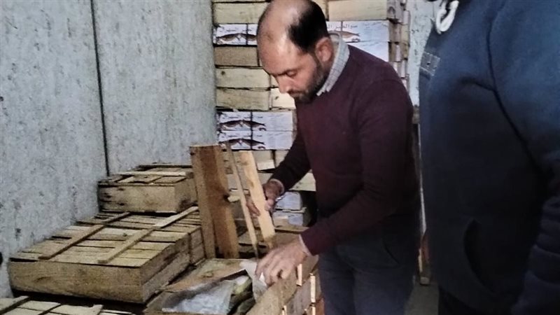 ضبط أسماك مملحة فاسدة