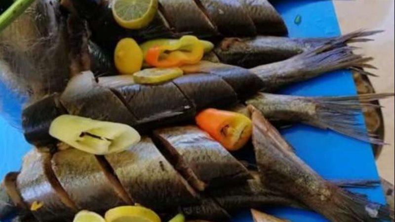 الملوحة والفسيخ في