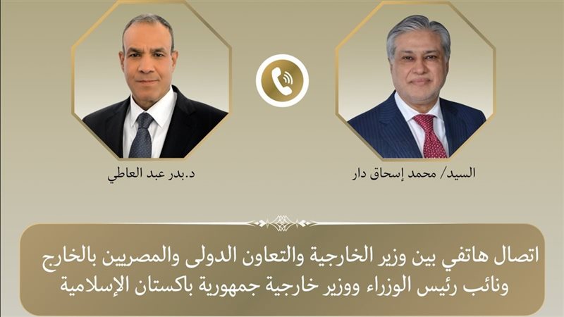 وزيرا خارجية مصر