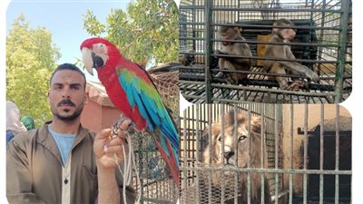 زحام بحديقة حيوان الإسكندرية في شم النسيم.. وفرج وميادة وحمادة نجوم المشهد