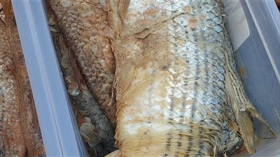 تموين قنا: ضبط 21 محضرا متنوعا وكميات من الأسماك المملحة غير الصالحة للاستهلاك