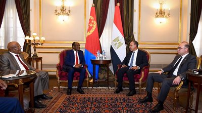 مصر تؤكد دعمها لوحدة إريتريا وتدفع بالتعاون التجاري والصناعي مع أسمرا