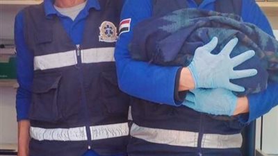 محافظ الغربية يشيد بجهود الإسعاف وسرعة تعاملها مع حالة ولادة مفاجئة بطنطا