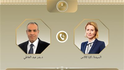 وزير الخارجية يبحث مع ممثلة الاتحاد الأوروبي الجهود الإقليمية لخفض التصعيد