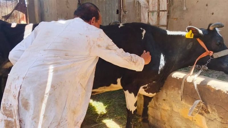 حملات بيطرية
