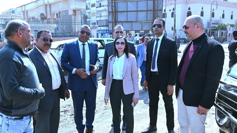 محافظ البحيرة تشيد