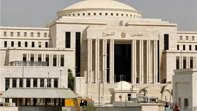 برلماني: التوجيهات الرئاسية تضع حداً لإنهاء جمود قوانين الأسرة