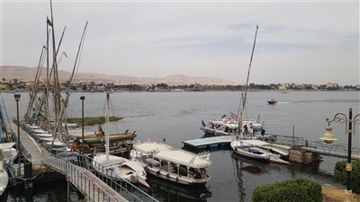 شريان سياحي في خطر.. تراكم الحشائش يهدد رحلات النيل بالأقصر