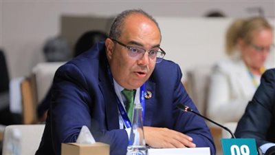 محمود محيي الدين: إصلاح النظام المالي العالمي ضرورة لدعم الدول النامية