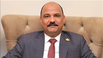 برلماني: توجيهات الرئيس بسرعة إحالة مشروع قانون للأسرة دعما لاستقرار المجتمع