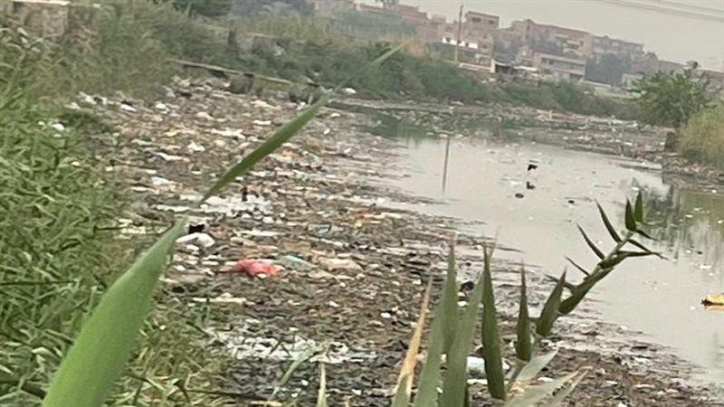 ترعة الشرقاوية بالقليوبية