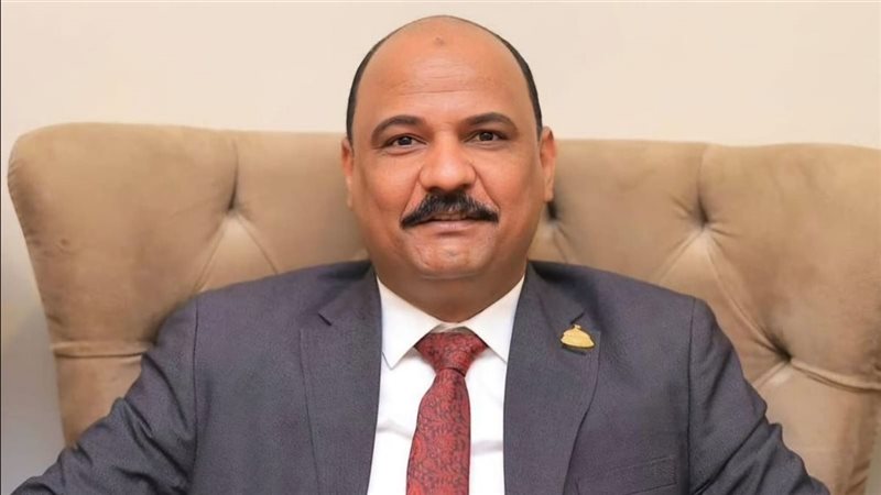 النائب علي سيد معوض