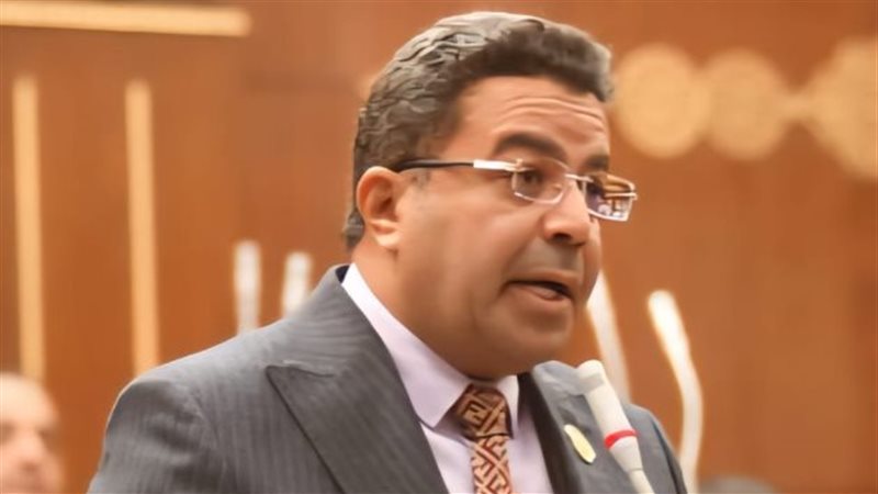 النائب باسل عادل