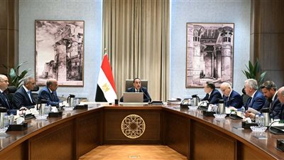 روساتوم: تنفيذ وحدات محطة الضبعة النووية يسير بانتظام وفق الجدول الزمني