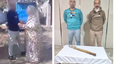 خلاف على منزل وتشهير.. كواليس فيديو المشاجرة بين شقيقين في كفر الشيخ