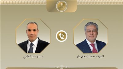 وزير الخارجية يبحث مع نظيره الباكستاني جهود التهدئة بين أمريكا وإيران