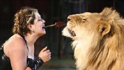 إخلاء سبيل لوبا الحلو فى واقعة هجوم أسد على طفلة بالسيرك القومى