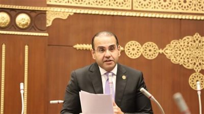 المنزلاوي: الطروحات الحكومية بالبورصة أكبر داعم للصناعة والاقتصاد الوطني