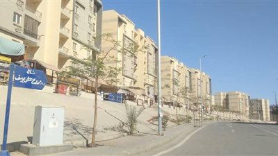 تكريما لعطائهما العلمي.. إطلاق اسمي أستاذي هندسة راحلين بأسيوط على شارعين بمدينة ناصر