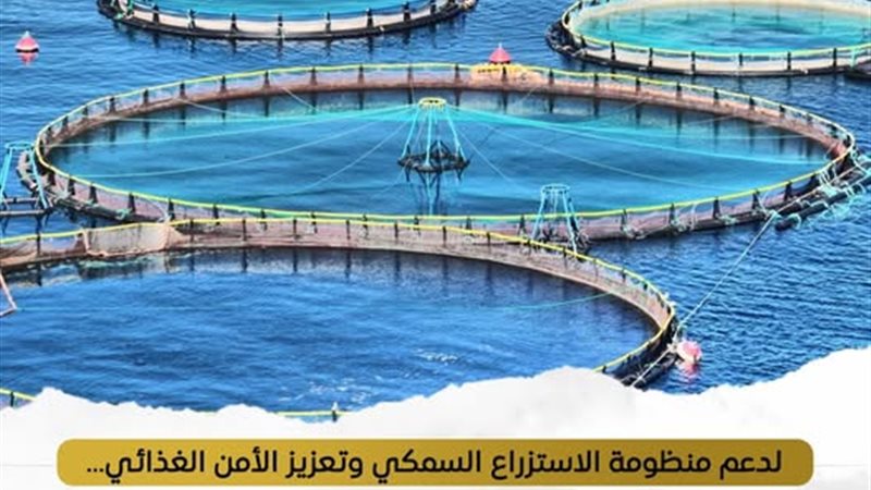 الاعلامي لمجلس الوزراء
