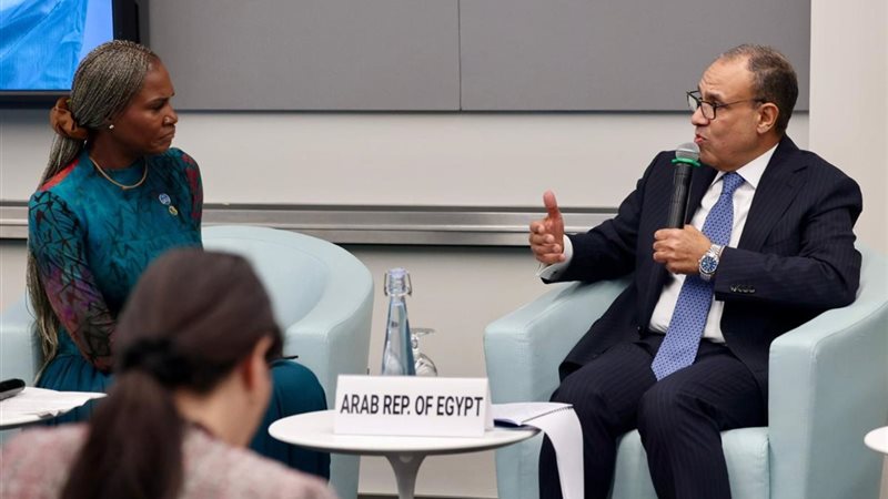 صورة من المؤتمر 