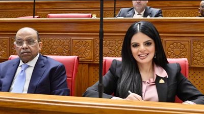 سؤال برلماني  لوزير العدل حول جدول إحالة مشروعات قوانين الأسرة