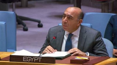 بجهود مشتركة مع باكستان.. مصر تسعى لنزع فتيل الأزمة وتدعو لوقف القتال فورا