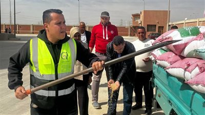 متابعة موسم حصاد وتوريد القمح بالسويس وتوجيهات بتقديم كافة التسهيلات للمزارعين