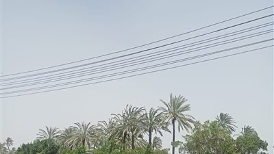 الأتربة تحجب الرؤية بالرغم من ارتفاع درجات الحرارة بالبحيرة