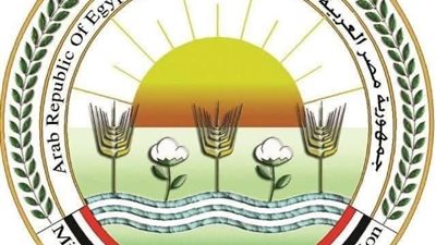 حملة مكبرة تداهم محلاً انتحل صفة وزارة الزراعة لبيع لحوم غير صالحة بالقليوبية 
