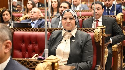 برلمانية تقدم مقترح لإنتاج الكهرباء من الطاقة الشمسية بأسطح المباني  