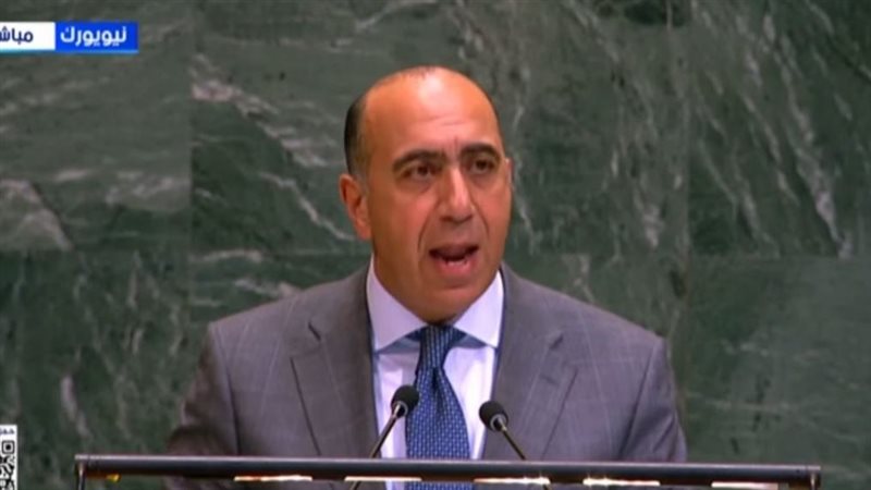 مندوب مصر لدى الأمم