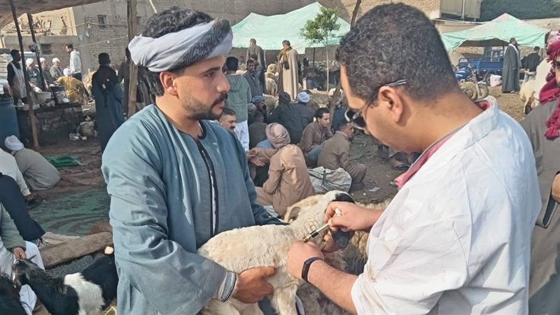 فعاليات الحملة